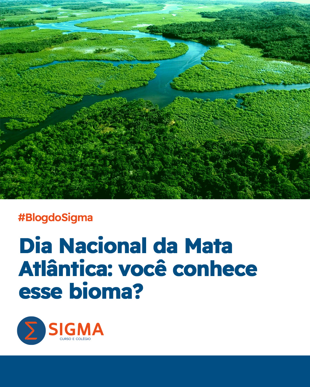 Dia Nacional da Mata Atlântica: entenda por que esse bioma é importante